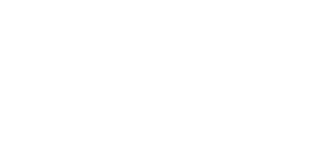 Cerebras